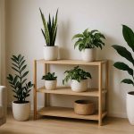 best-low-light-indoor-plants-hero